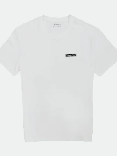 CALVIN KLEIN MEN'S T-SHIRT LOGO PRINT