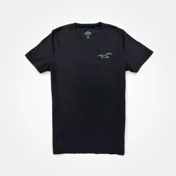 Hollister Men T-shirt