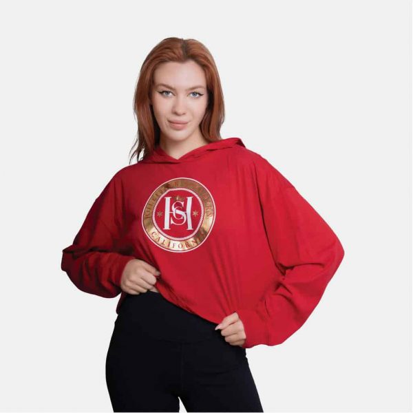 Hollister Hoodie Crop Top Graphic Print