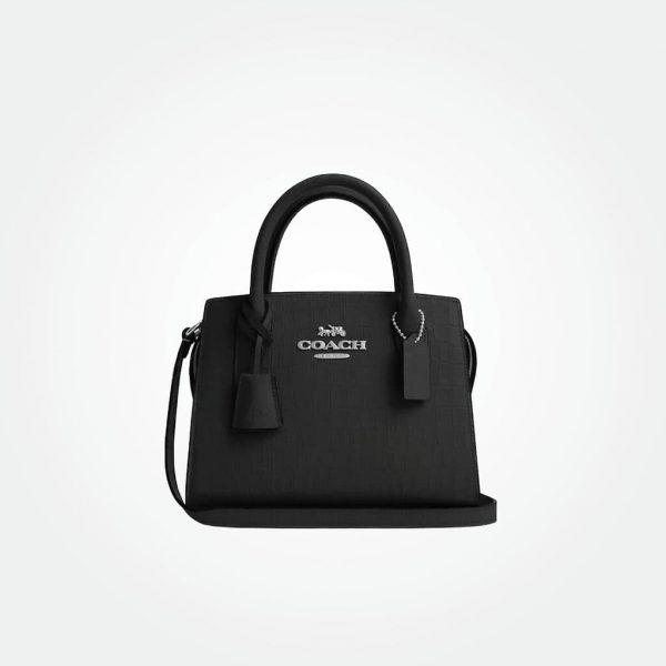 Coach Andrea Carry All Bag