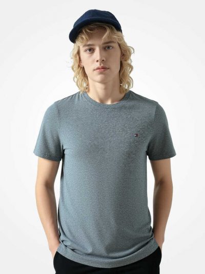 Tommy Hilfiger Men Small Logo T-shirt