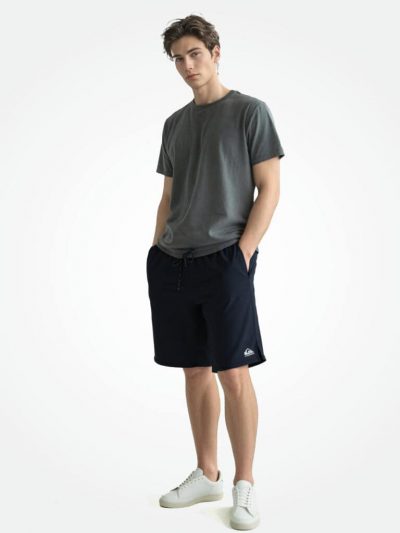Quiksilver Men Inseam 7'' Active Short