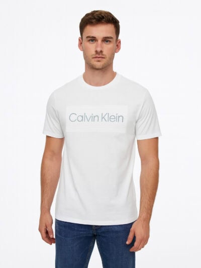 Calvin Klein Mens T-shirt Stripe Graphic Design