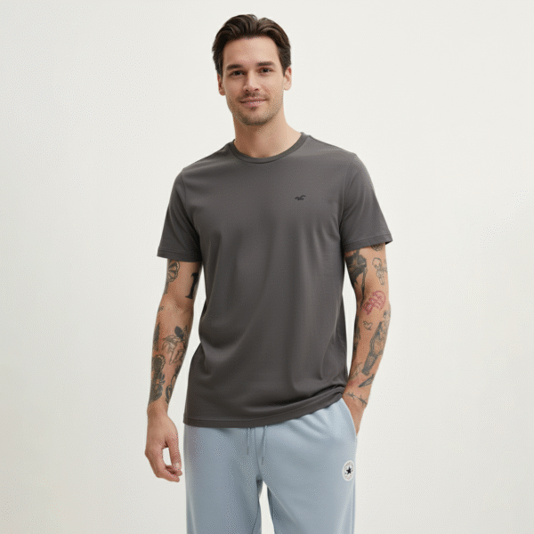 Hollister Mens Small Logo T-Shirt