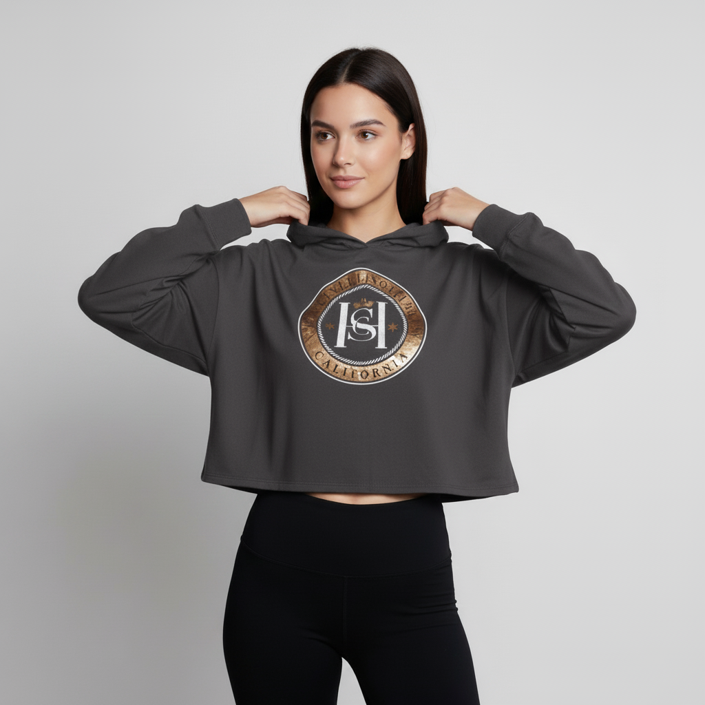 Hollister Hoodie Crop Top Graphic Print 1 Hollister Hoodie Crop Top Graphic Print