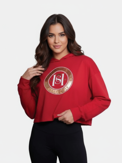 Hollister Hoodie Crop Top Graphic Print