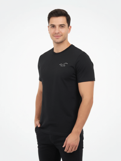 Hollister Men T-shirt