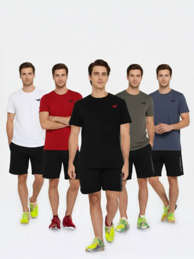 HOLLISTER MEN 5 PACKS T-SHIRT
